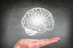 مهم‌ترین ماده مغذی برای سلامت مغز در دوران پیری