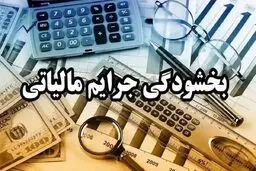 آخرین فرصت مؤدیان مالیاتی برای بخشودگی جرایم 