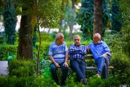 بازنشستگی اجباری این کارکنان/ وزارت اقتصاد دستور داد