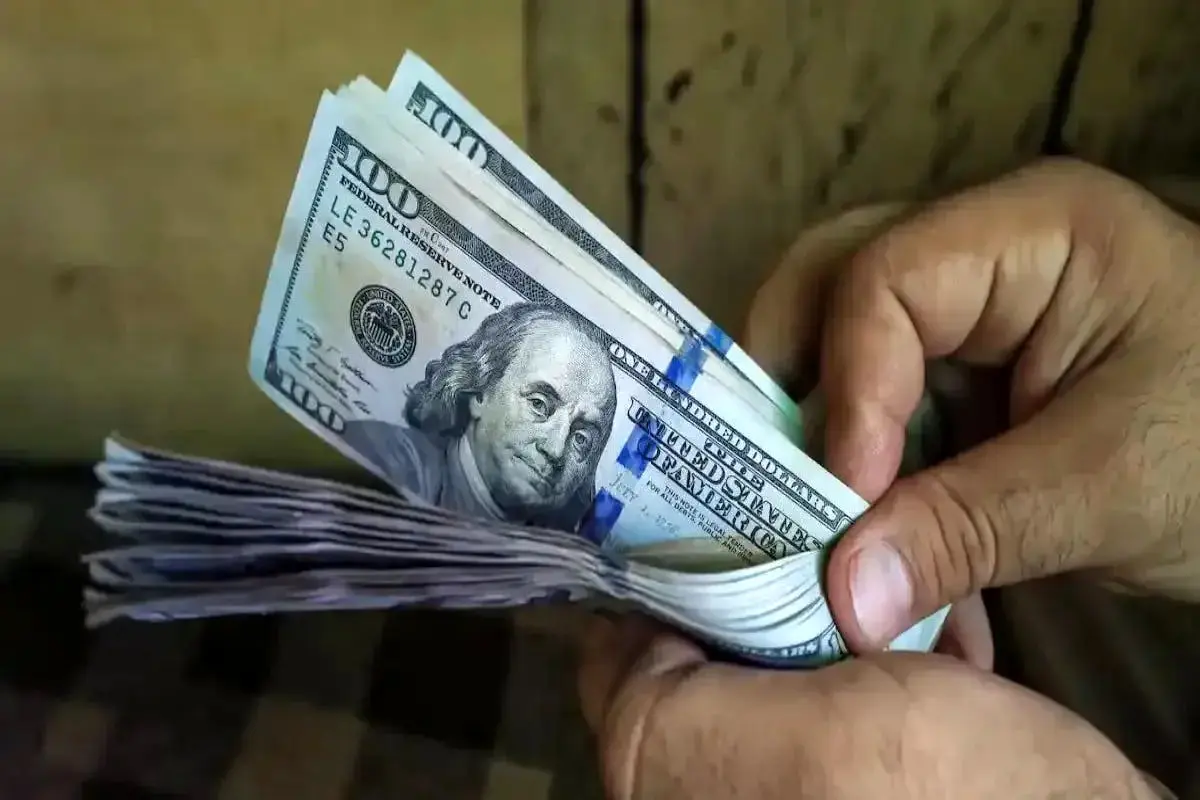 پیش‌بینی مهم همتی درباره قیمت دلار