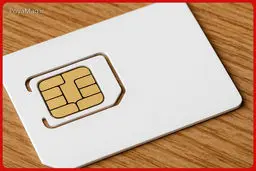 سیم کارت سفید چه بود و چه کسانی به اینترنت آزاد دسترسی داشتنند؟