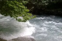 در چه صورت حق آبه ها  قابل خرید و فروش هستند؟ 