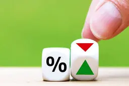 آیا سود سپرده بانکی قرار است تغییر کند؟ / جزئیات پیشنهاد جدید 