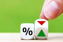 آیا سود سپرده بانکی قرار است تغییر کند؟ / جزئیات پیشنهاد جدید 