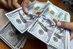  به هر ایرانی ۱۰۰۰ یورو ارز دولتی تعلق می‌گیرد + شرایط