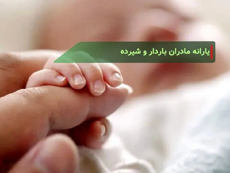 شرایط دریافت یارانه ۷۰۰ هزار تومانی یسنا اعلام شد 