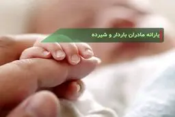 شرایط دریافت یارانه ۷۰۰ هزار تومانی یسنا اعلام شد 