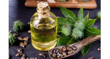 مواد حل کننده و امولسیون کننده غذایی