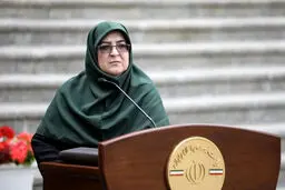 یارانه جدید دولت در راه است؟/ اظهارات تازه ی مهاجرانی 