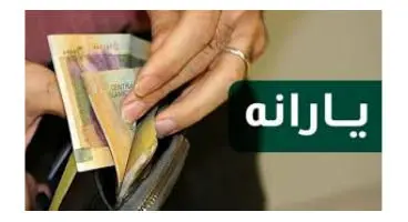 اگر یارانه ما حذف شده، چه کنیم؟