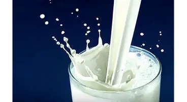 شیری که مغز شما را سریع‌تر پیر می‌کند