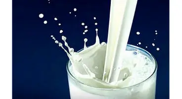 شیری که مغز شما را سریع‌تر پیر می‌کند