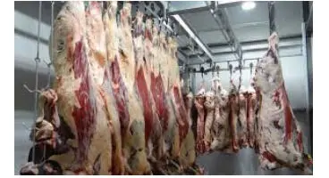 اگر این مشکلات را دارید گوشت بز بخورید