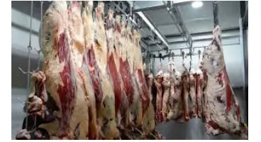 اگر این مشکلات را دارید گوشت بز بخورید