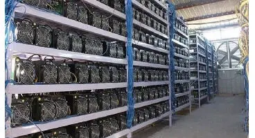 پاداش نقدی به گزارش‌کنندگان استخراج غیرمجاز رمزارز