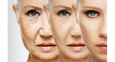 میوه هایی که از پیری زودرس جلوگیری می‌کنند