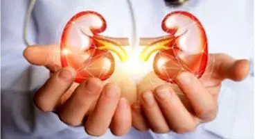 نشانه‌های قطعی آسیب کلیه