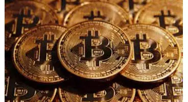پیش بینی آینده بیت‌کوین از نظر نویسنده مشهور کتاب «قوی سیاه»