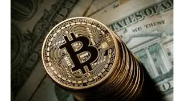 هشدار؛ مراقب مال باختگی در بازار بیت کوین باشید!