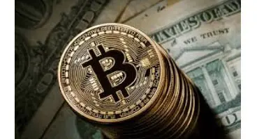 هشدار؛ مراقب مال باختگی در بازار بیت کوین باشید!
