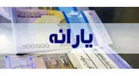 یارانه جدید سازمان برنامه چیست؟ / چه کسانی مشمول یارانه جدیداند؟