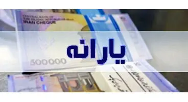 یارانه جدید سازمان برنامه چیست؟ / چه کسانی مشمول یارانه جدید‌اند؟