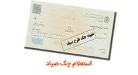 چگونه بفهمیم صادرکننده چک چند چک برگشتی دارد؟