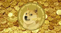 دوج کوین چیست و آیا ارزش سرمایهگذاری دارد؟