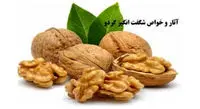 خواص بی نظیر گردو؛ از کاهش خطر سکته مغزی تا جلوگیری از بروز چین و چروک در پوست