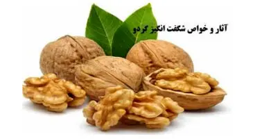 خواص بی نظیر گردو؛ از کاهش خطر سکته مغزی تا جلوگیری از بروز چین و چروک در پوست