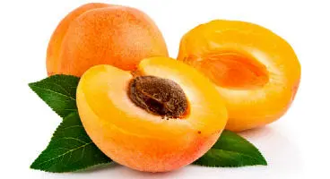خوردن هسته این میوه شما را به کما می برد