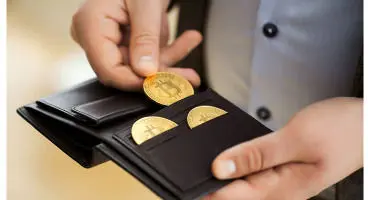 چه افرادی و چگونه بیشترین سود را از بیت‌کوین می‌برند؟