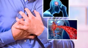 بهترین خوراکیها برای باز شدن رگ های عروقی کدامند؟