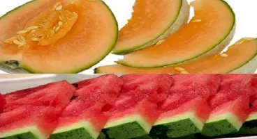 بیماری‌هایی که هندوانه و طالبی دوای آنهاست