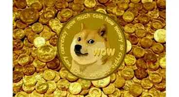 اولین جشنواره موسیقی دوج‌کوین برگزار می‌شود