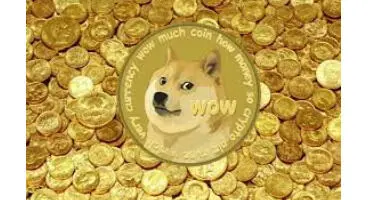 اولین جشنواره موسیقی دوج‌کوین برگزار می‌شود
