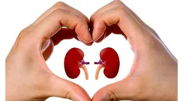 بهترین روش برای سم زدایی کلیه ها چیست؟