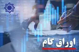 کارت رفاهی با سقف اعتبار ۳۰۰ میلیون تومان رونمایی شد 