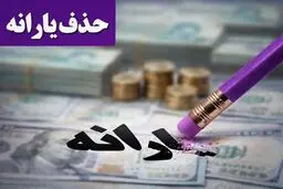 خبر مهم برای خانوارها/ یارانه این افراد قطع شد