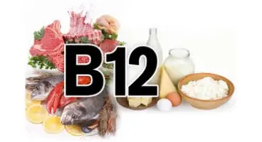 علائم کمبود B ۱۲ در بدن و مواد غذایی مناسب برای دریافت این ویتامین