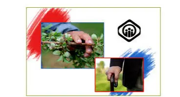 متقاضیان بیمه تکمیلی حتما بخوانند / اطلاعیه ثبت نام بیمه تکمیلی و عمر بازنشستگان ۱۴۰۰ منتشر شد + لینک