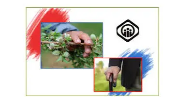 متقاضیان بیمه تکمیلی حتما بخوانند / اطلاعیه ثبت نام بیمه تکمیلی و عمر بازنشستگان ۱۴۰۰ منتشر شد + لینک