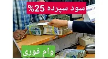 کدام بانک ها سود 25 درصدی به سپرده  و وام فوری  3 روزه می دهند؟