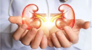 3 اصل مهم برای مراقبت از کلیه ها