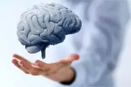 ۱۰ عادت مهم برای سلامت مغز را بشناسید