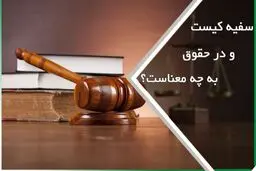 سفیه در حقوق به چه معناست؟ بررسی شرایط و آثار حقوقی