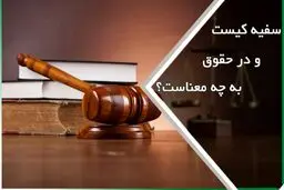سفیه در حقوق به چه معناست؟ بررسی شرایط و آثار حقوقی