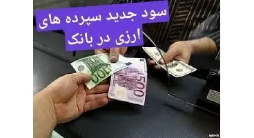 نرخ سود جدید سپرده های ارزی بانک ملت +شرایط حسابهای کوتاه مدت و بلند مدت ارزی