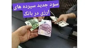 نرخ سود جدید سپرده های ارزی بانک ملت +شرایط حسابهای کوتاه مدت و بلند مدت ارزی