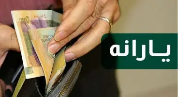 یارانه 700 هزار تومانی به این خانوارها پرداخت خواهد شد/3برابر شدن یارانه این گروه